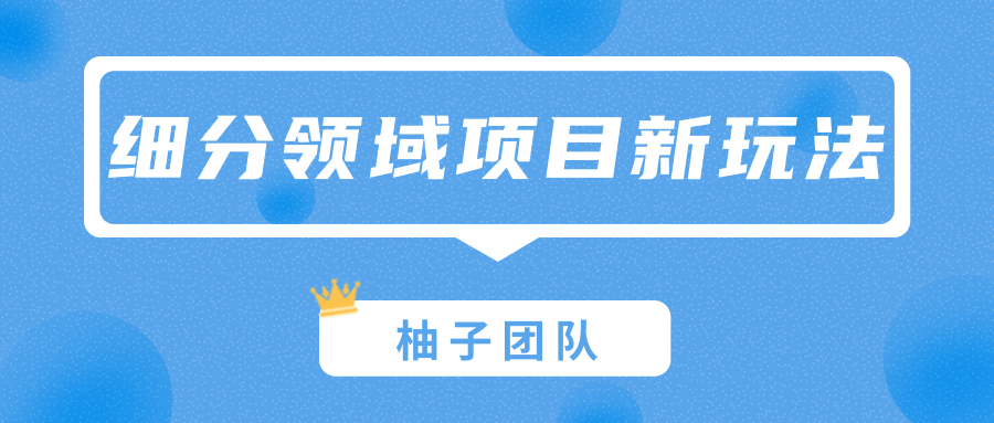 细分领域项目新玩法，特殊的赚钱思维打造一份巨额收入-甘南项目网