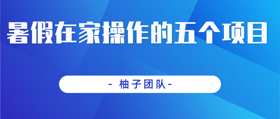 暑假在家操作的五个项目，稳定轻松实现日入100+-甘南项目网