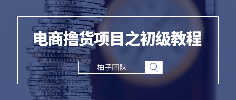 电商撸货项目之初级教程，单撸品牌小样批量起号月入5000+-甘南项目网