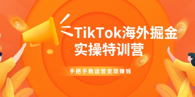 TikTok海外掘金实操特训营：手把手教运营变现赚钱【视频课程】-甘南项目网