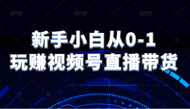 新手小白从0-1玩赚视频号直播带货，适用对视频号直播不熟悉，想要提升直播能力的朋友-甘南项目网