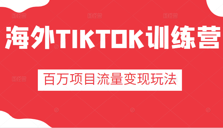 海外TIKTOK训练营，百万项目海外版抖音tiktok流量变现玩法-甘南项目网