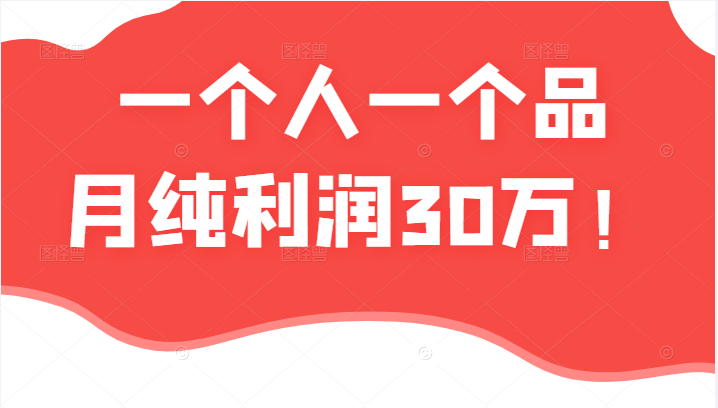 某公众号付费文章：一个人一个品月纯利润30万的蓝海电商经典案例！-甘南项目网