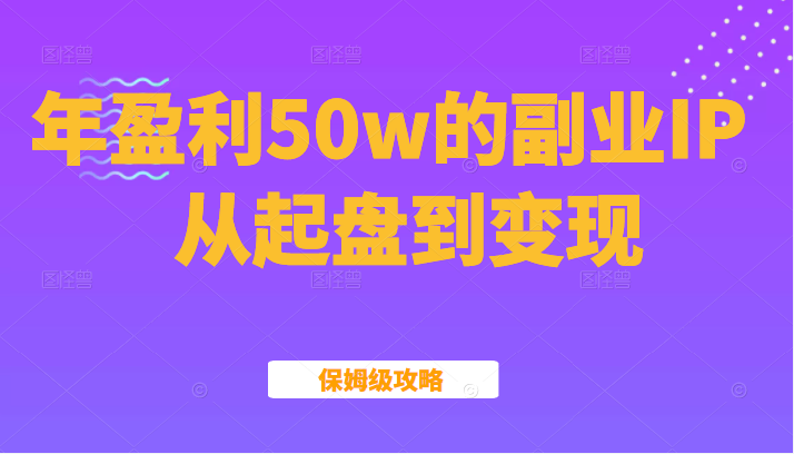 某公众号付费文章：年盈利50w的副业IP从起盘到变现的保姆级攻略（黑）-甘南项目网