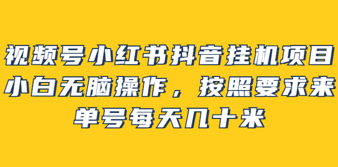 视频号小红书抖音挂机项目，小白无脑操作，按照要求来，单号每天几十米-甘南项目网