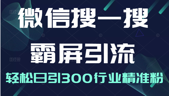 微信搜一搜霸屏引流课，打造被动精准引流系统，轻松日引300行业精准粉-甘南项目网