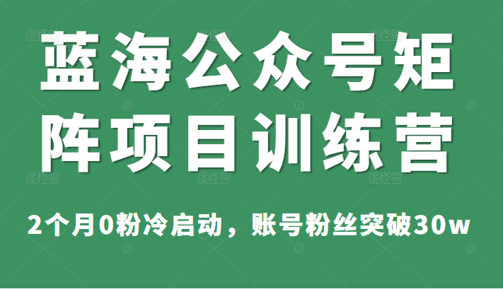 蓝海公众号矩阵项目训练营，2个月0粉冷启动，账号粉丝突破30w，价值1800元-甘南项目网