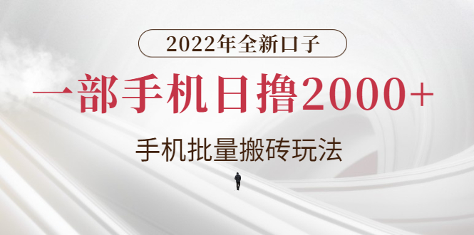 2022年全新口子，手机批量搬砖玩法，一部手机日撸2000+-甘南项目网