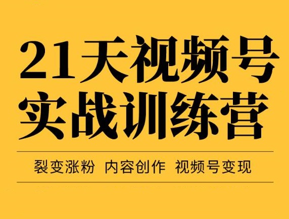 21天视频号实战训练营，裂变涨粉、内容创作、视频号变现（价值298元）-甘南项目网