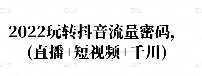 2022玩转抖音流量变现密码，直播运营技巧、电商主播成长记(直播+短视频+千川)-甘南项目网