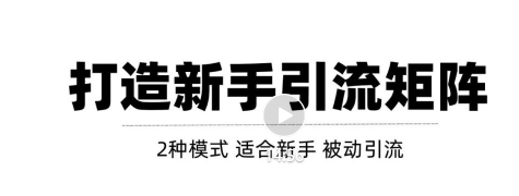 2种引流矩阵搭建模式，掌握1种，每天引流轻松破百！【视频教程】-甘南项目网