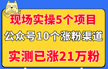 现场实操5个公众号项目，10个涨粉渠道，实测已涨21万粉！（无水印）-甘南项目网