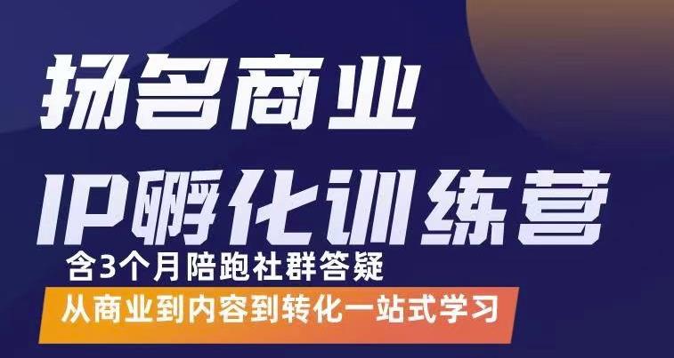 商业IP孵化训练营，从商业到内容到转化一站式学 价值5980元（无水印）-甘南项目网