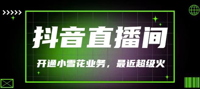最近非常火的抖音直播间开通小雪花业务，利用信息差操作赚钱（价值288）-甘南项目网