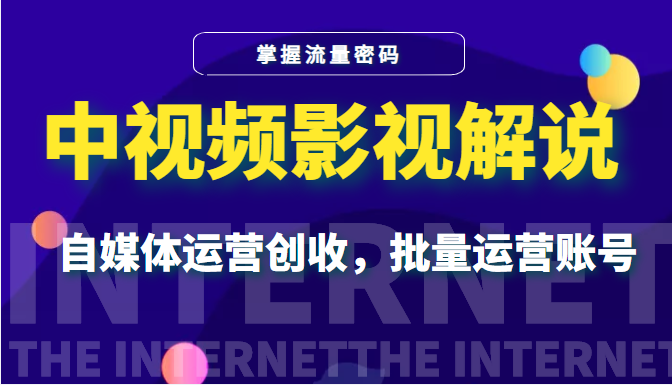 中视频影视解说—掌握流量密码，自媒体运营创收，批量运营账号-甘南项目网