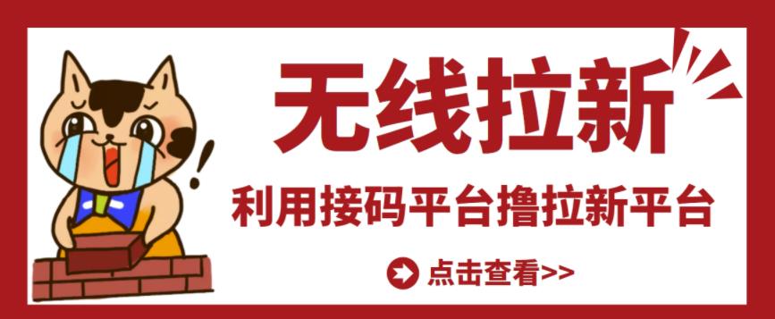 最新接码无限拉新项目，利用接码平台赚拉新平台差价，轻松日赚500+-甘南项目网