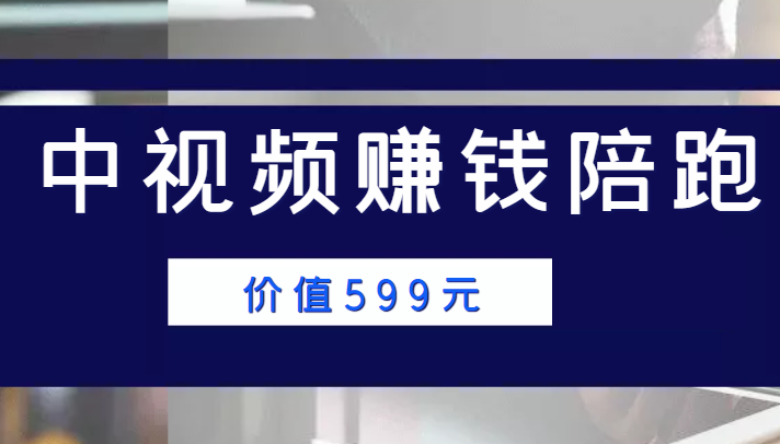 中视频赚钱陪跑，卖中视频账户赚钱收益陪跑项目（价值599元）-甘南项目网