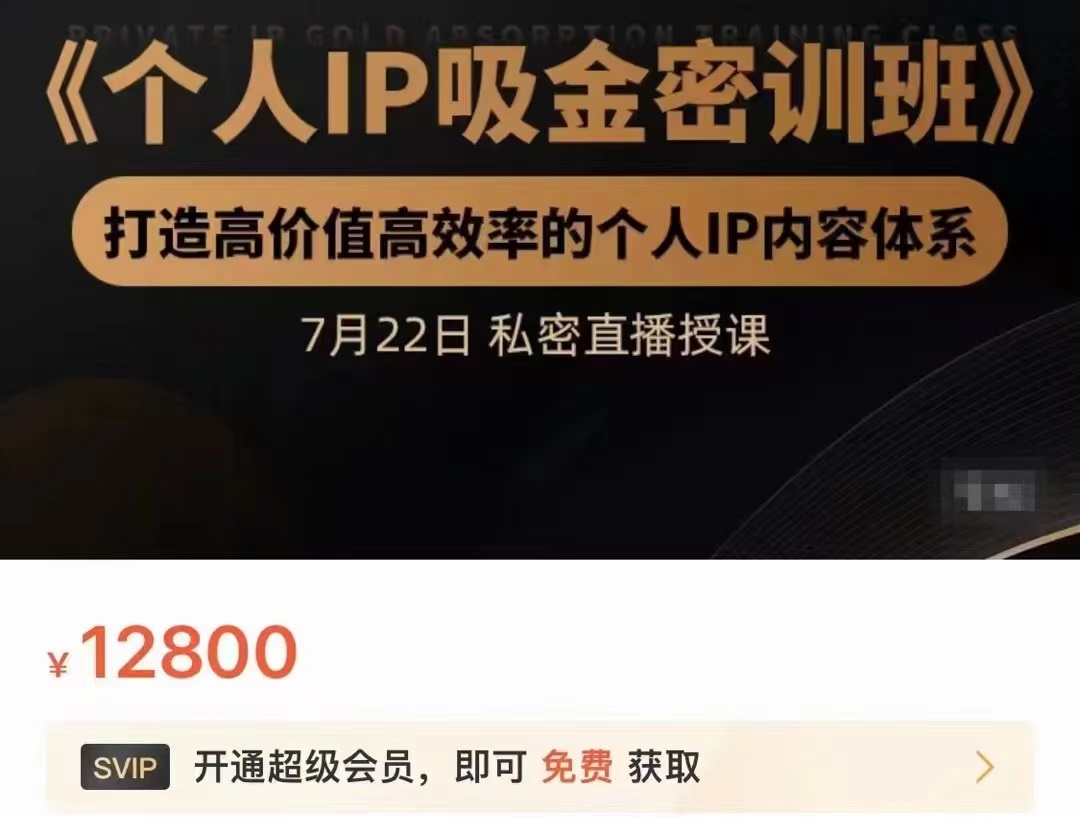 个人IP吸金密训班，打造高价值高效率的个人IP内容体系（价值12800元）-甘南项目网