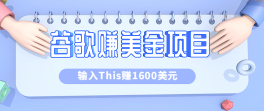 利用谷歌搜索特殊关键字赚钱项目，简单操作即可轻松赚1600+美元【视频教程】-甘南项目网