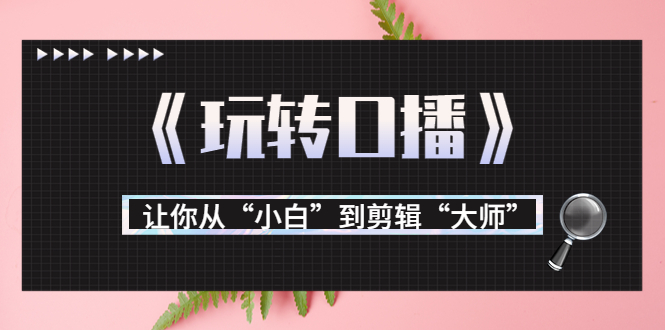 月营业额700万+大佬教您《玩转口播》让你从“小白”到剪辑“大师”-甘南项目网