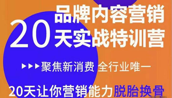 《内容营销实操特训营》20天让你营销能力脱胎换骨（价值3999）-甘南项目网