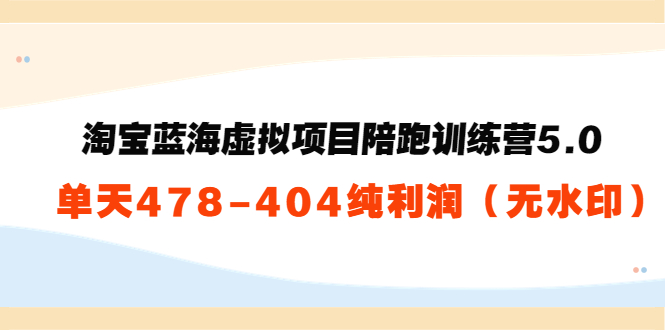 淘宝蓝海虚拟项目陪跑训练营5.0：单天478纯利润（无水印）-甘南项目网