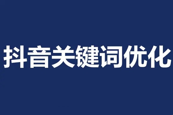 抖音搜索电商流量获取方法论，提升抖店电商运营和优化店铺的能力（价值588元）-甘南项目网