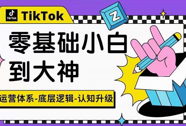 TikTok底层逻辑及短视频运营方法系列课，运营体系，底层逻辑，认知升级-甘南项目网