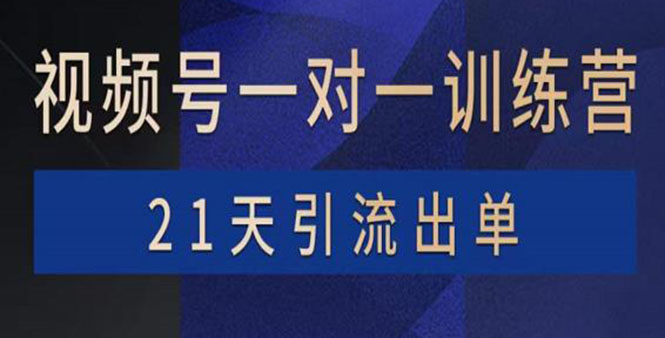 视频号训练营：带货，涨粉，直播，游戏，四大变现新方向，21天引流出单-甘南项目网