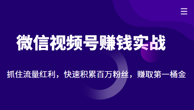 微信视频号赚钱实战：抓住流量红利，快速积累百万粉丝，赚取你的第一桶金-甘南项目网