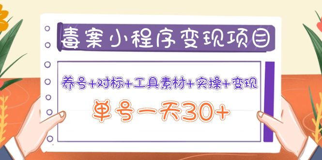 小程序变现项目：养号+对标+工具素材+实操+变现，单号一天30+-甘南项目网