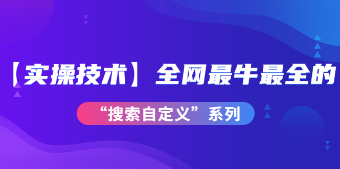 全网最牛最全的“搜索自定义”系列！【实操技术】价值698元-甘南项目网