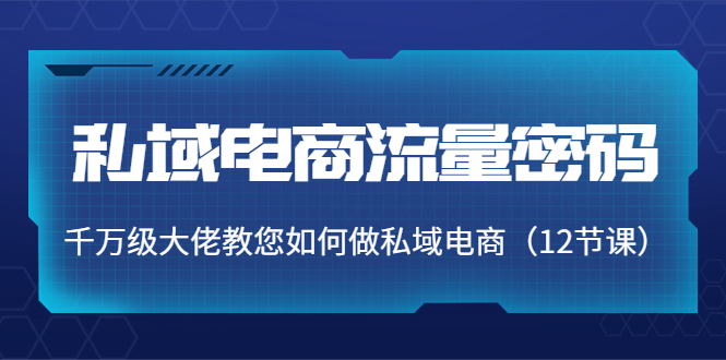 私域电商流量密码：千万级大佬教您如何做私域电商（12节课）-甘南项目网