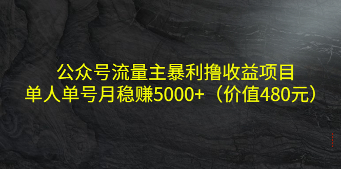 公众号流量主暴利撸收益项目，单人单号月稳赚5000+（价值480元）-甘南项目网