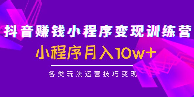 抖音赚钱小程序变现训练营：小程序月入10w+各类玩法运营技巧变现-甘南项目网