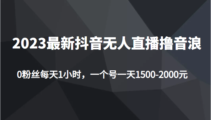 2023最新抖音无人直播撸音浪项目，0粉丝每天1小时，一个号一天1500-2000元-甘南项目网