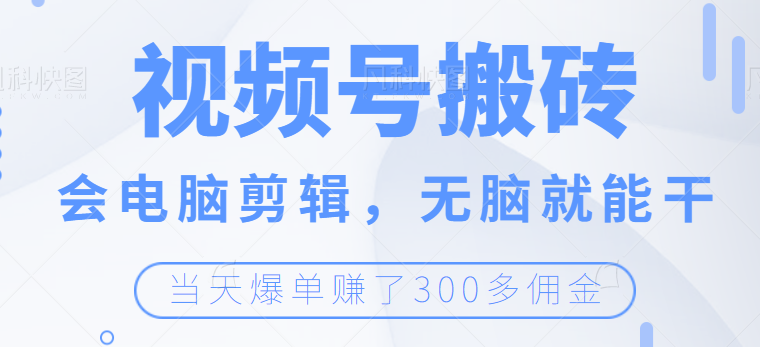 视频号无脑搬砖带货，会电脑剪辑无脑就能干，当天爆单赚300+佣金-甘南项目网