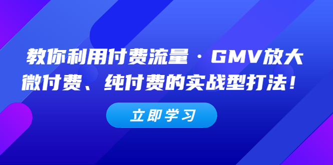 教你利用付费流量·GMV放大，微付费、纯付费的实战型打法【无水印】-甘南项目网