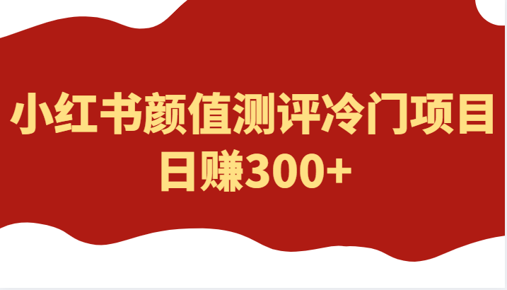 外面4980的项目，小红书颜值测评冷门项目，日赚300+-甘南项目网