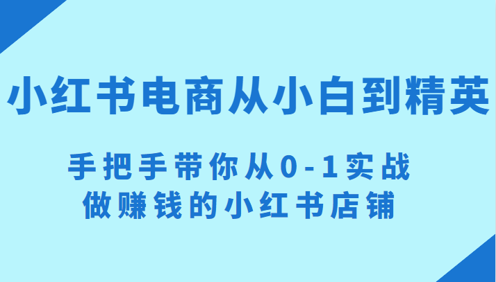 小红书电商项目：从小白到精英 手把手带你从0-1实战做赚钱的小红书店铺-甘南项目网