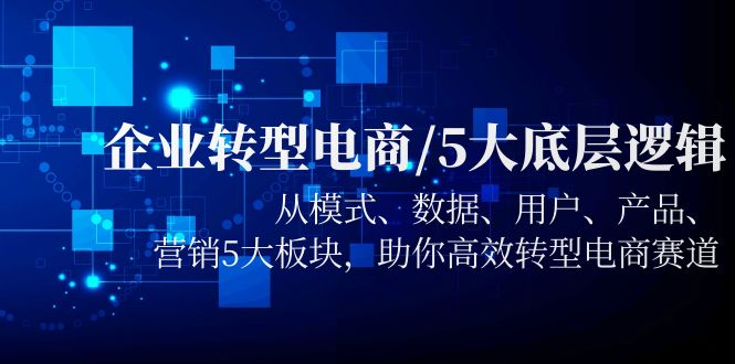 企业转型电商/5大底层逻辑，从模式 数据 用户 产品 营销5大板块，高效转型-甘南项目网