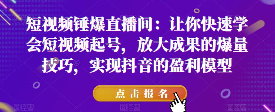 短视频锤爆直播间：让你快速学会短视频起号，放大成果的爆量技巧，实现抖音的盈利模型-甘南项目网