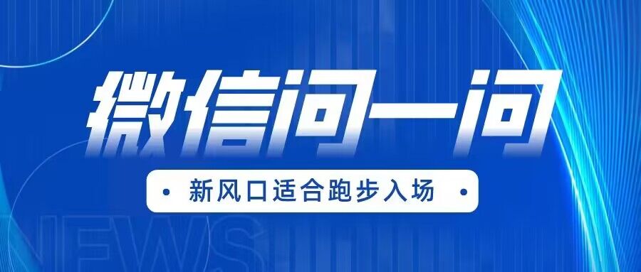 全网首发微信问一问新风口变现项目（价值1999元）-甘南项目网