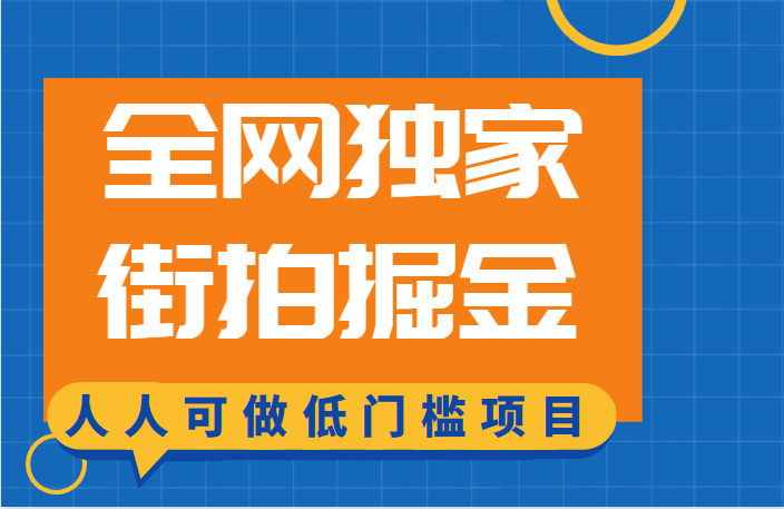 全网独家一街拍掘金，低门槛人人可做的赚钱项目-甘南项目网