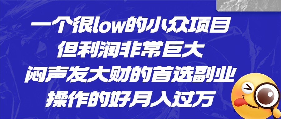 一个很low的小众项目，但利润非常巨大，闷声发大财的首选副业，操作的好月入过万-甘南项目网