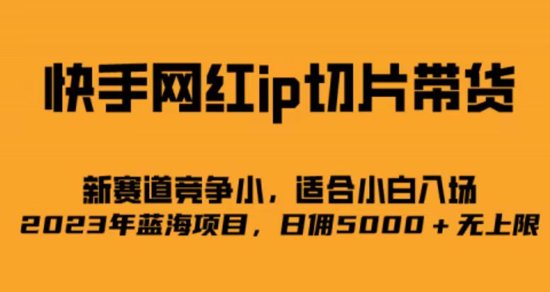 快手网红ip切片新赛道，竞争小，适合小白  2023蓝海项目-甘南项目网