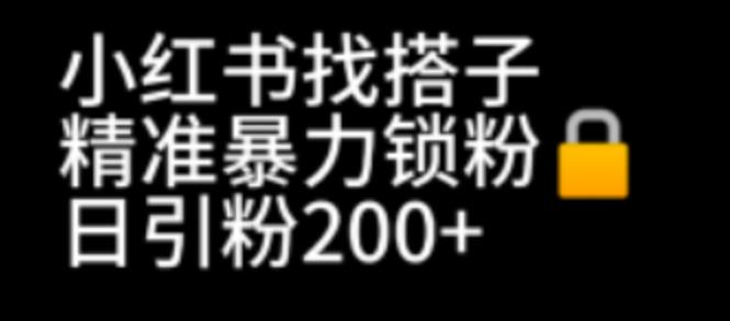 小红书找搭子暴力精准锁粉+引流日引200+精准粉-甘南项目网