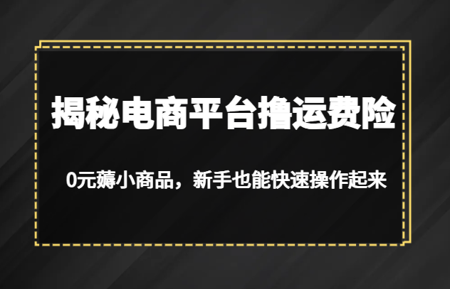 揭秘电商平台撸运费险，0元薅小商品，新手也能快速操作起来-甘南项目网