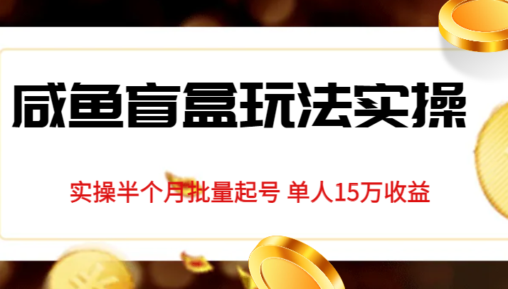 独家首发咸鱼盲盒玩法实操，半个月批量起号单人15万收益揭秘-甘南项目网