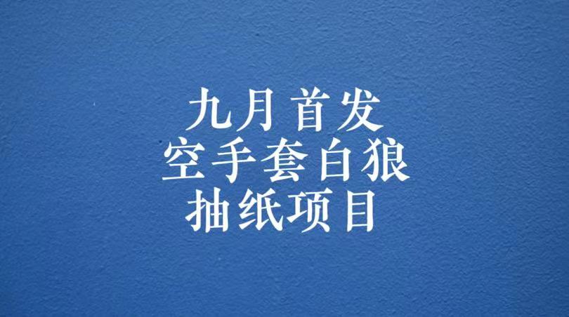 0成本，日入100-500空手套白狼抽纸项目，保姆级教学-甘南项目网